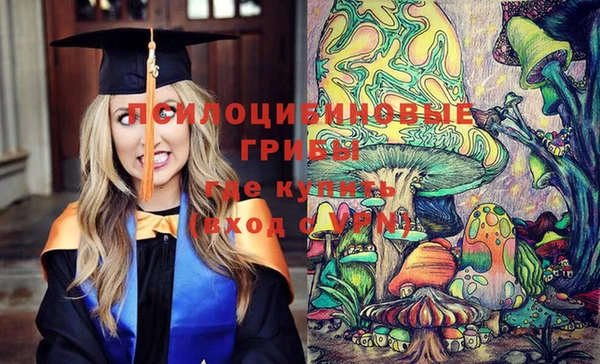 ГАЛЛЮЦИНОГЕННЫЕ ГРИБЫ Зеленодольск