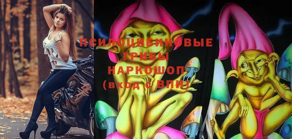 эйфоретик Зеленокумск