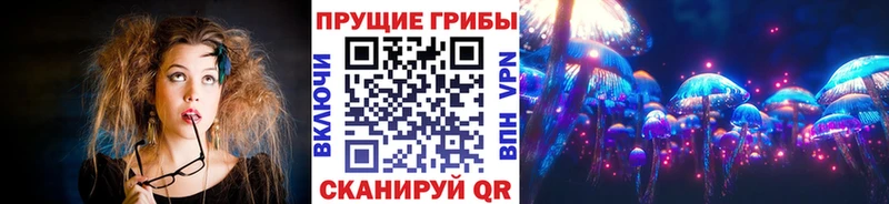 Псилоцибиновые грибы Cubensis  Купить где  Черкесск 